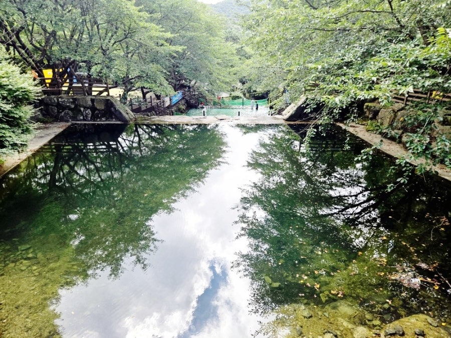 제암산자연휴양림 사진 2
