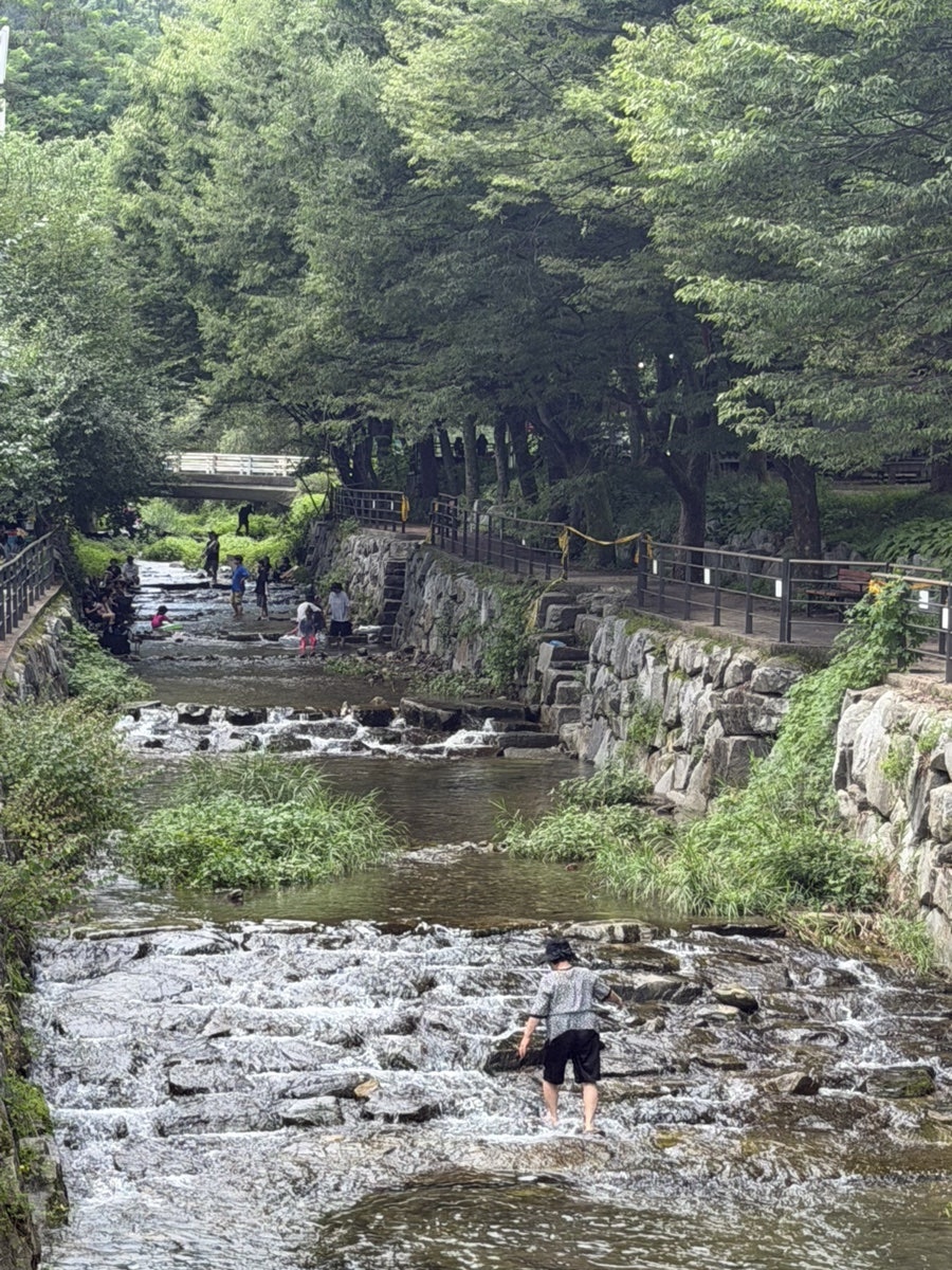 주록계곡 사진 2