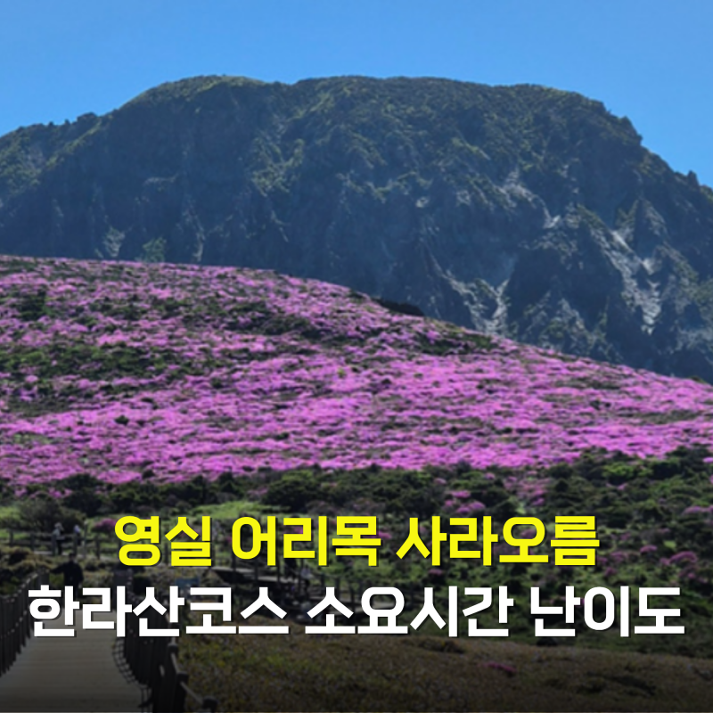 한라산 윗세오름 등반코스 영실 어리목 사라오름 난이도 소요시간 비교