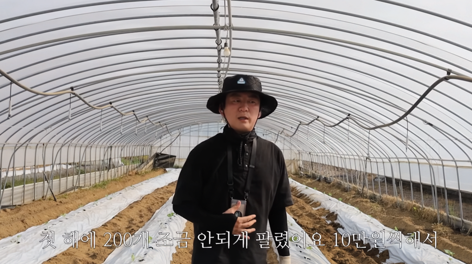 곡성멜론 사진 3