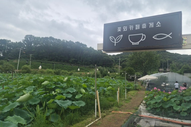 꽃뫼카페휴게소 사진 6
