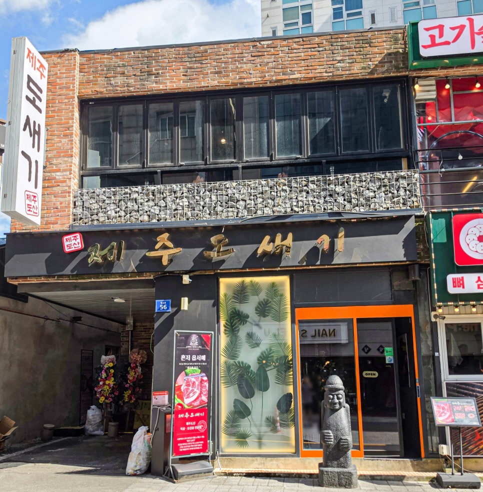 돼지 사진 2