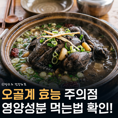 천연 자양강장제, 오골계 효능 주의사항 영양성분 먹는법 총정리!