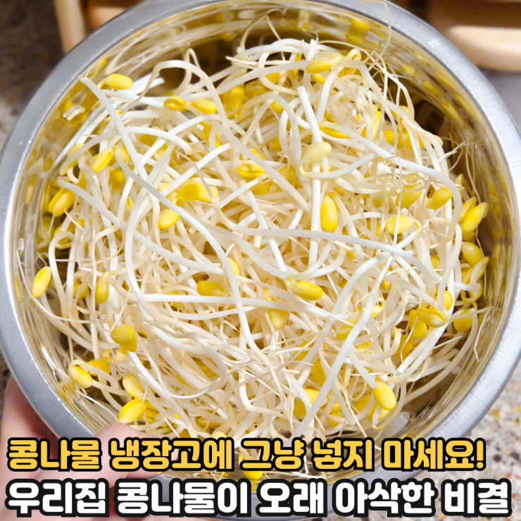 콩나물 보관법, 우리집 콩나물이 오랫동안 아삭한 비결