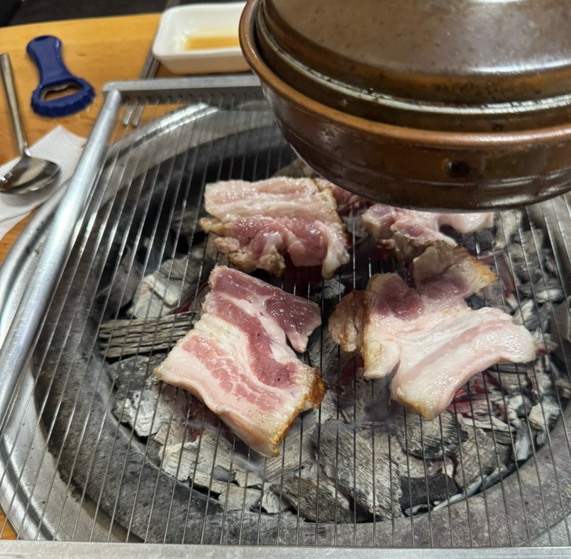 미경 사진 1