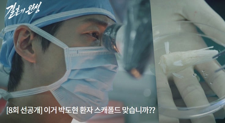 김부장보다 재밌다? 몇부작·원작 결말·인물관계도·디즈니+ 다시보기 총정리