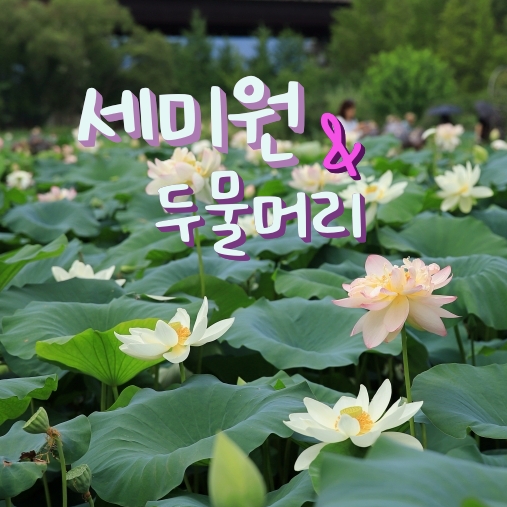 세미원