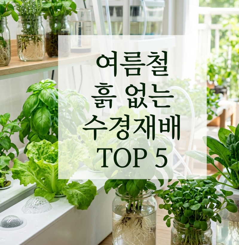여름철 흙 없이 키우는 수경재배 식물 추천 TOP 5 (뿌리파리 걱정 끝!)