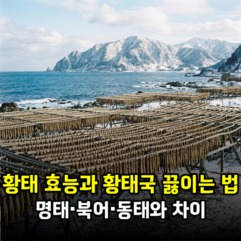 황태 효능과 황태국 끓이는 법, 명태·북어·동태와 차이
