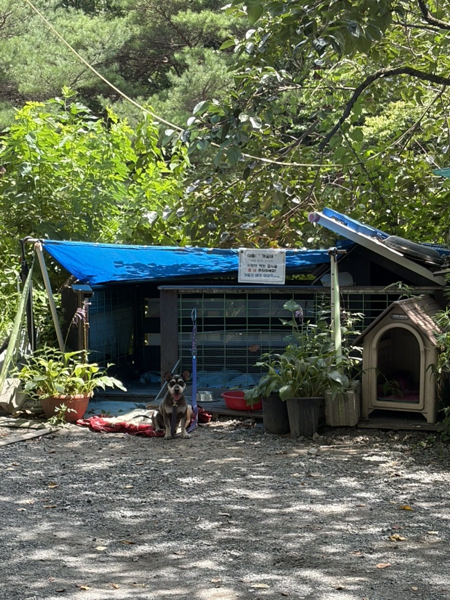 삼성산장 사진 4