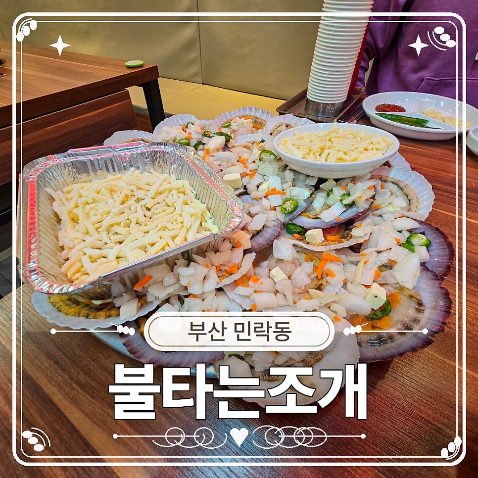 불타는조개 사진 1