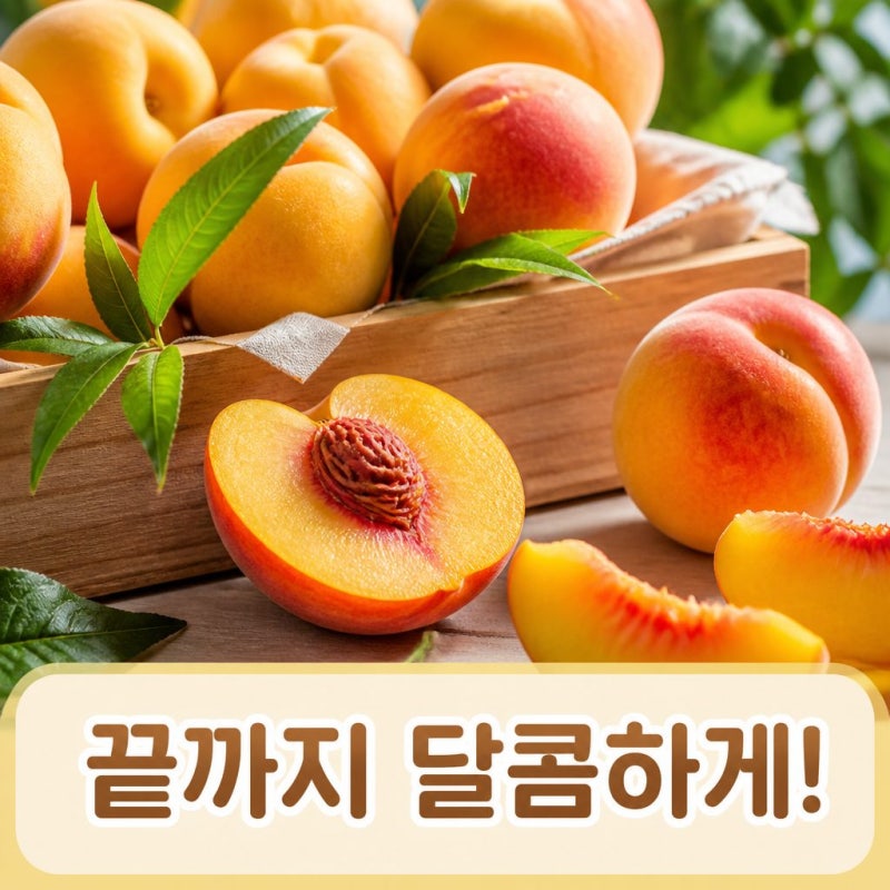 황도복숭아 보관법