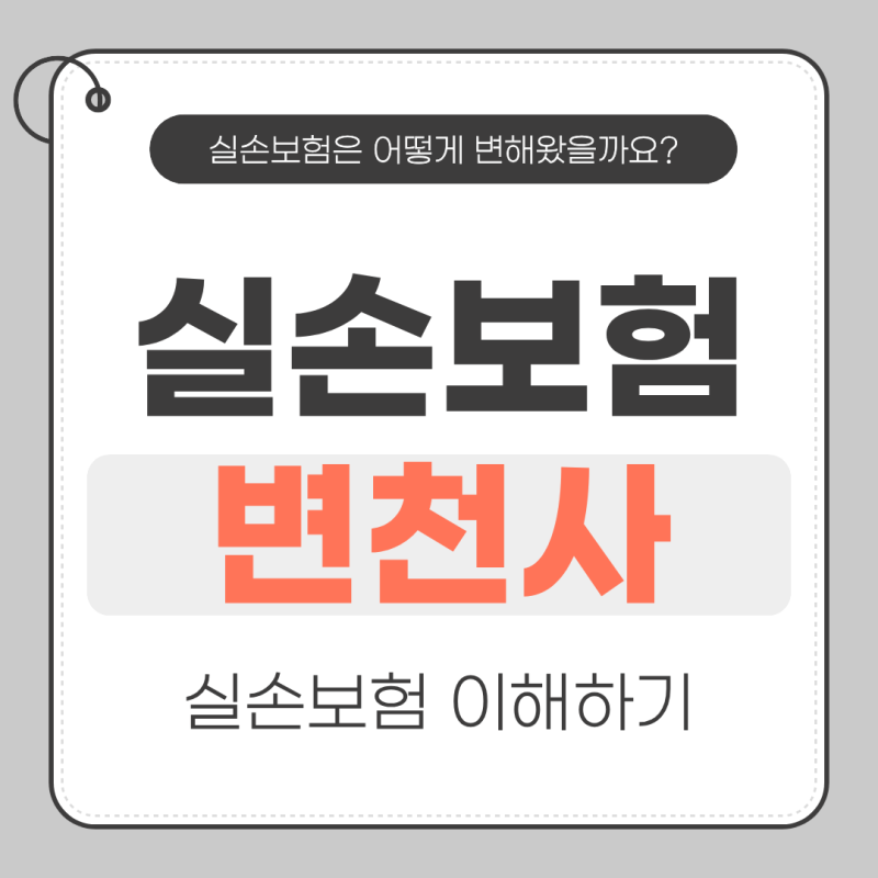 실손보험의 변천사 (실손보험의 이해)