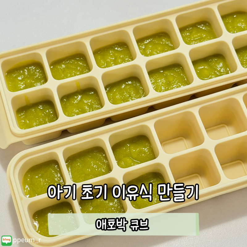 [ 애호박 큐브] 6개월 아기 초기 이유식 만들기