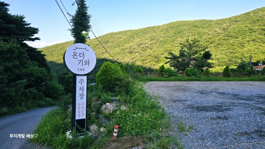 온더기와 사진 2