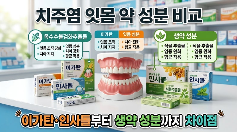 치주염 잇몸 약 성분 비교, 생약 성분까지 직접 따져본 차이점