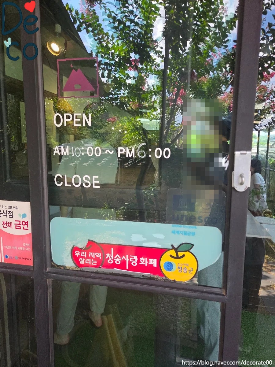 백일홍 사진 5