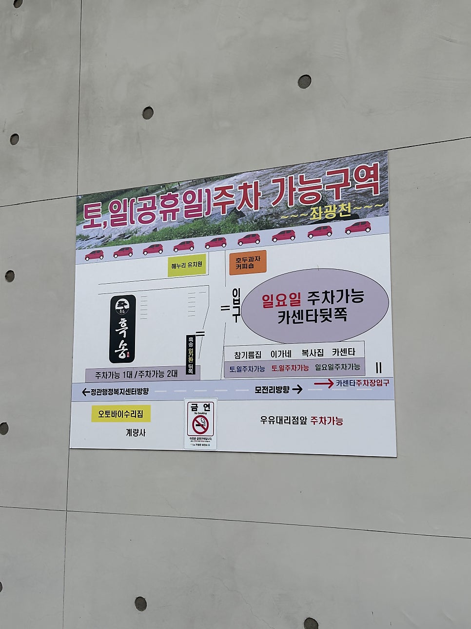 흑송 사진 3