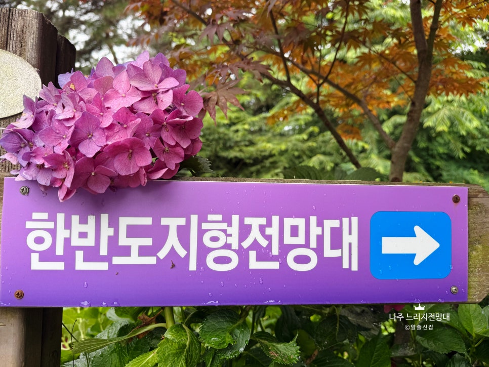 느러지전망대 사진 4