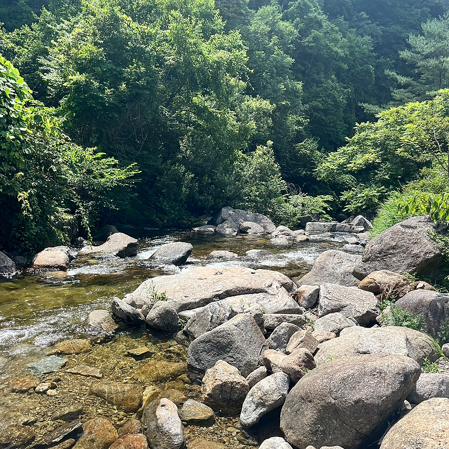 다리안계곡 사진 6