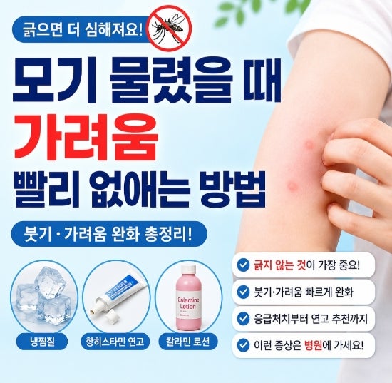 모기 물렸을 때 빨리 가려움 없애는 방법! 붓기·응급처치·연고 총정리
