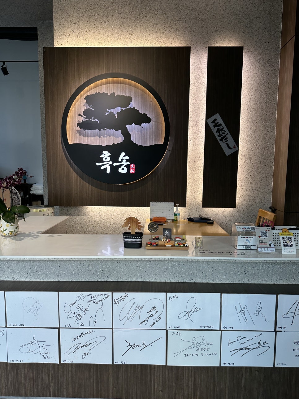 흑송 사진 4