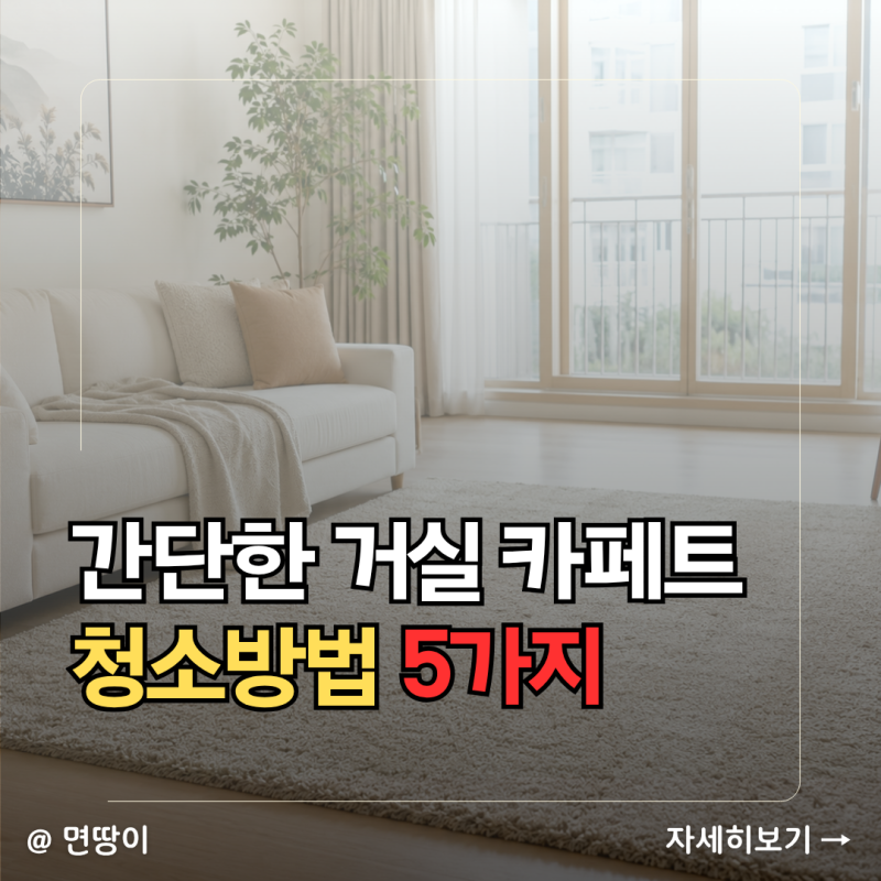 매일 밟는 거실 카페트, 간단하게 관리하는 5가지 청소방법