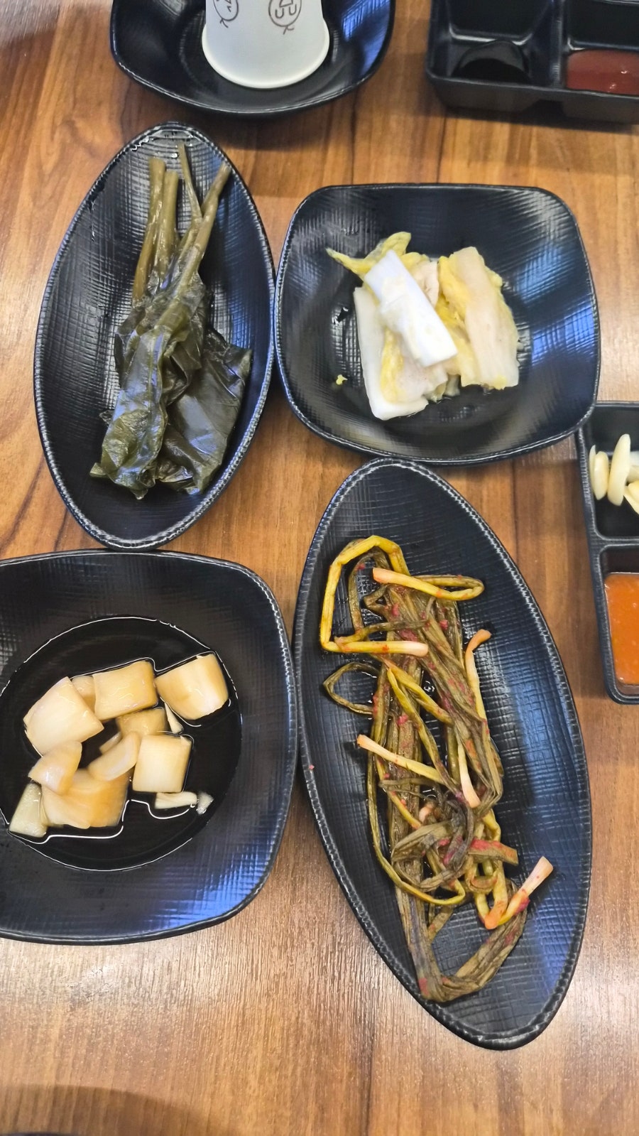 국파장어 사진 3