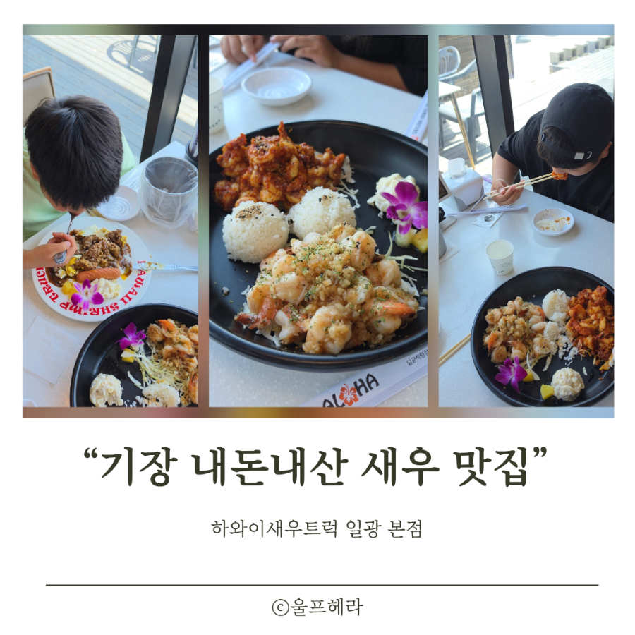 하와이새우트럭 사진 1
