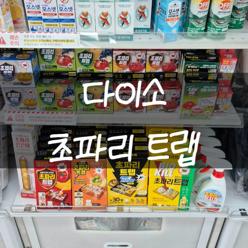 다이소 초파리 트랩 끈끈이 제품 리필액 종류 싹 정리