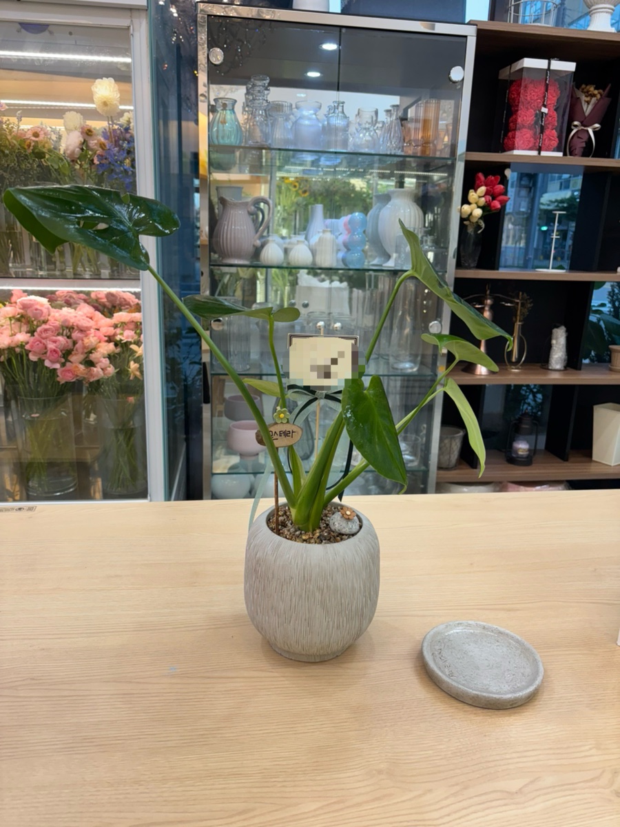 꽃담 사진 6