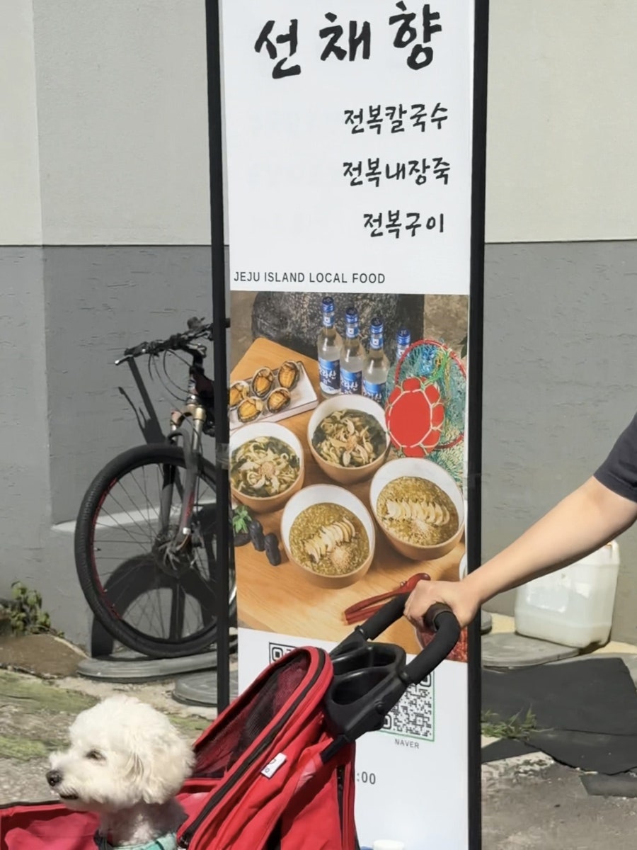 선채향 사진 2