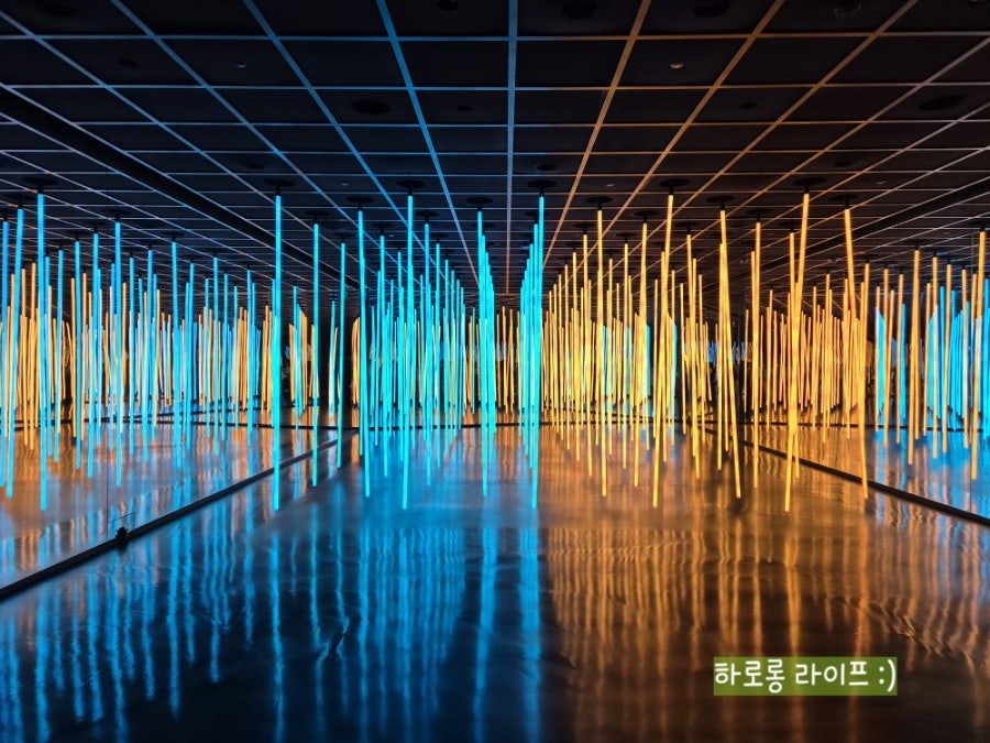 카츠리코 킨텍스본점 사진 6