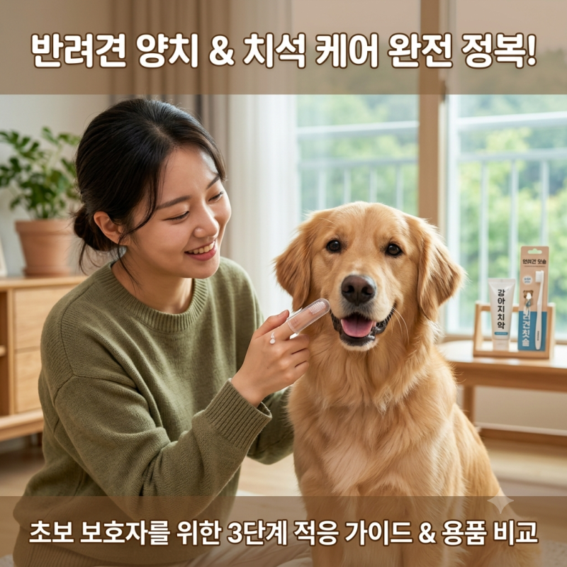 강아지 치석·입냄새 완벽 홈케어: 치약 성분 분석부터 병원 스케일링 비용 정리