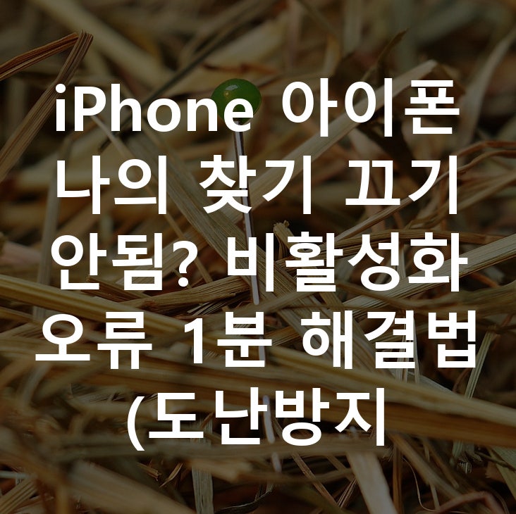 iPhone 아이폰 나의 찾기 끄기 안됨? 비활성화 오류 1분 해결법 (도난방지 해제)