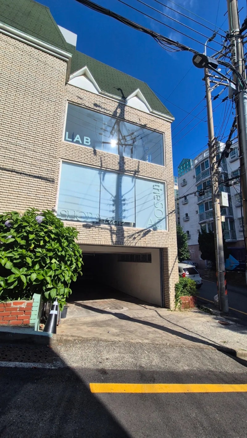 밀크티 종류 많은 '더소가' 해운대 달맞이 주차가능 카페 (함보경 개인전 2F)