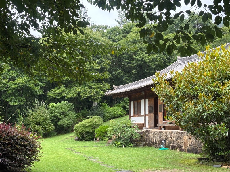 고양이가 있는 하동 한옥 주택 아원산방_차실이 있는 한옥독채 | 하동 숙소 화개장터 근처 한....