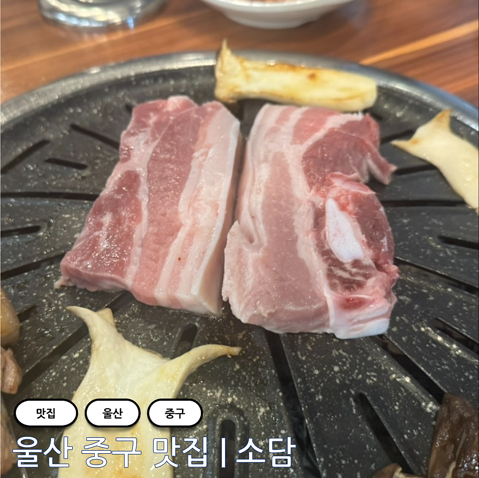 소담 사진 1