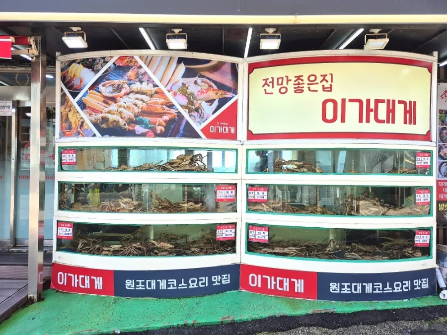 이가대게 사진 5