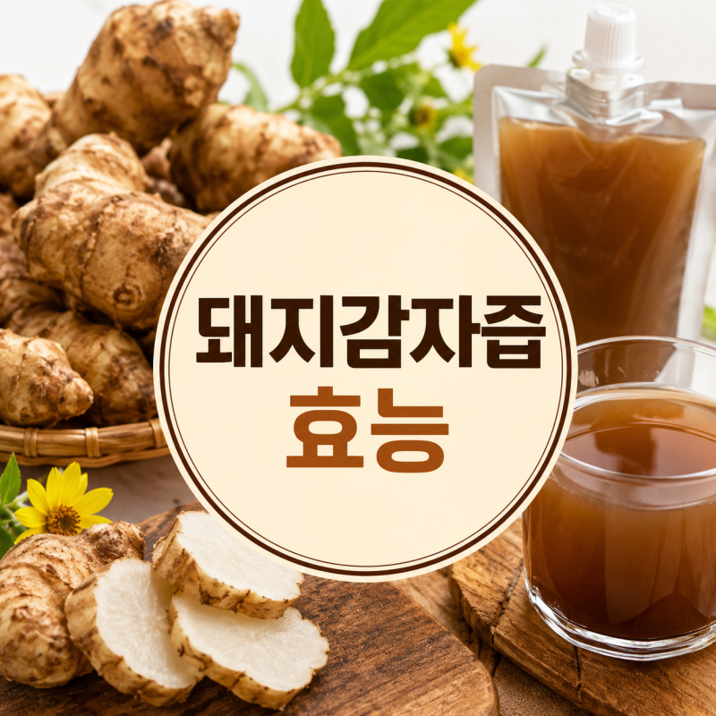 돼지감자즙효능과 이눌린, 당뇨에 정말 도움 될까?