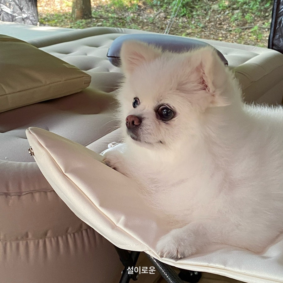 캠핑소리251 사진 6