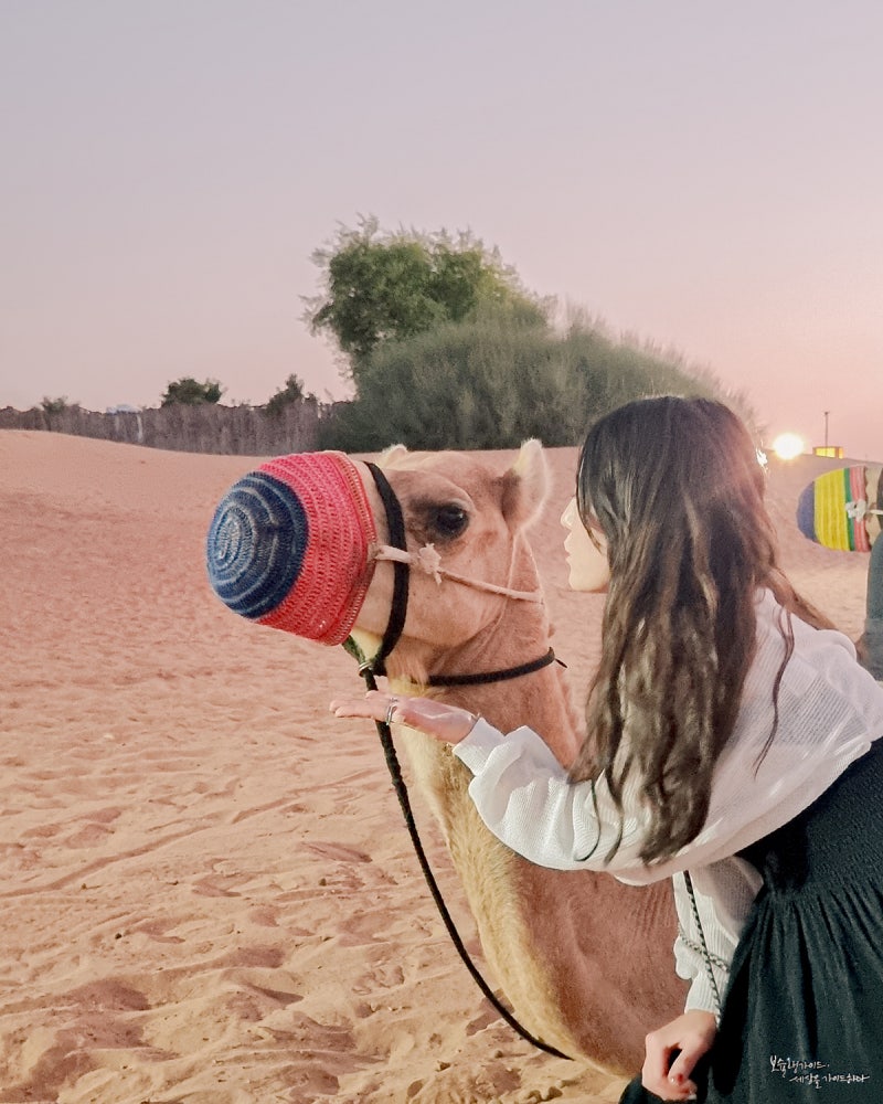 UAE 두바이 여행 준비물 두바이, 아부다비 가볼만한 곳