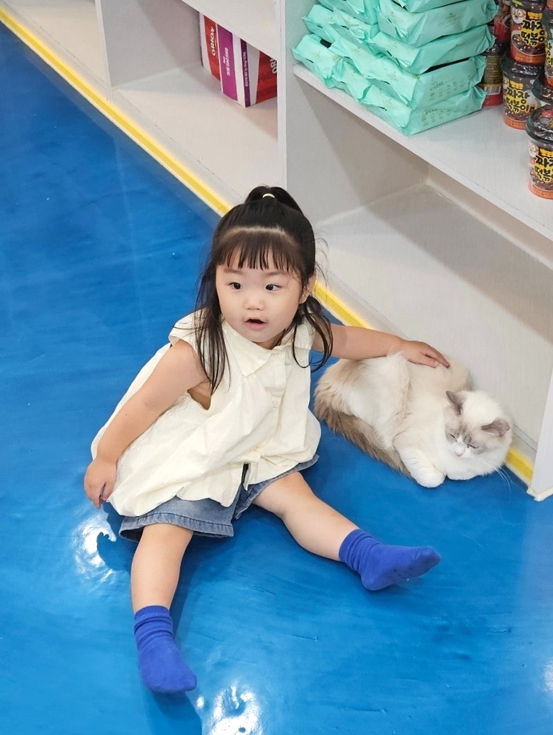 고양이카페아이캣유 사진 1