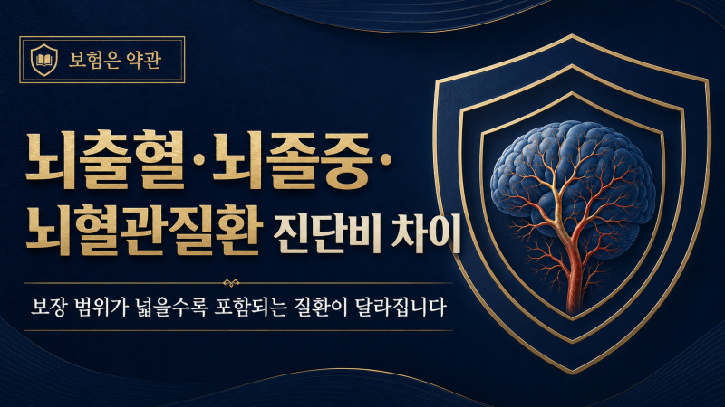 뇌출혈·뇌졸중·뇌혈관질환 진단비 차이｜보장 범위 확인하기