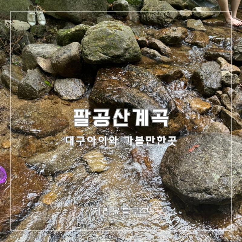 대구 아이와 팔공산 수태골 계곡 물놀이
