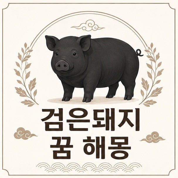 검은돼지 꿈 해몽: 태몽 여부 포함 상황별 풀이 정리