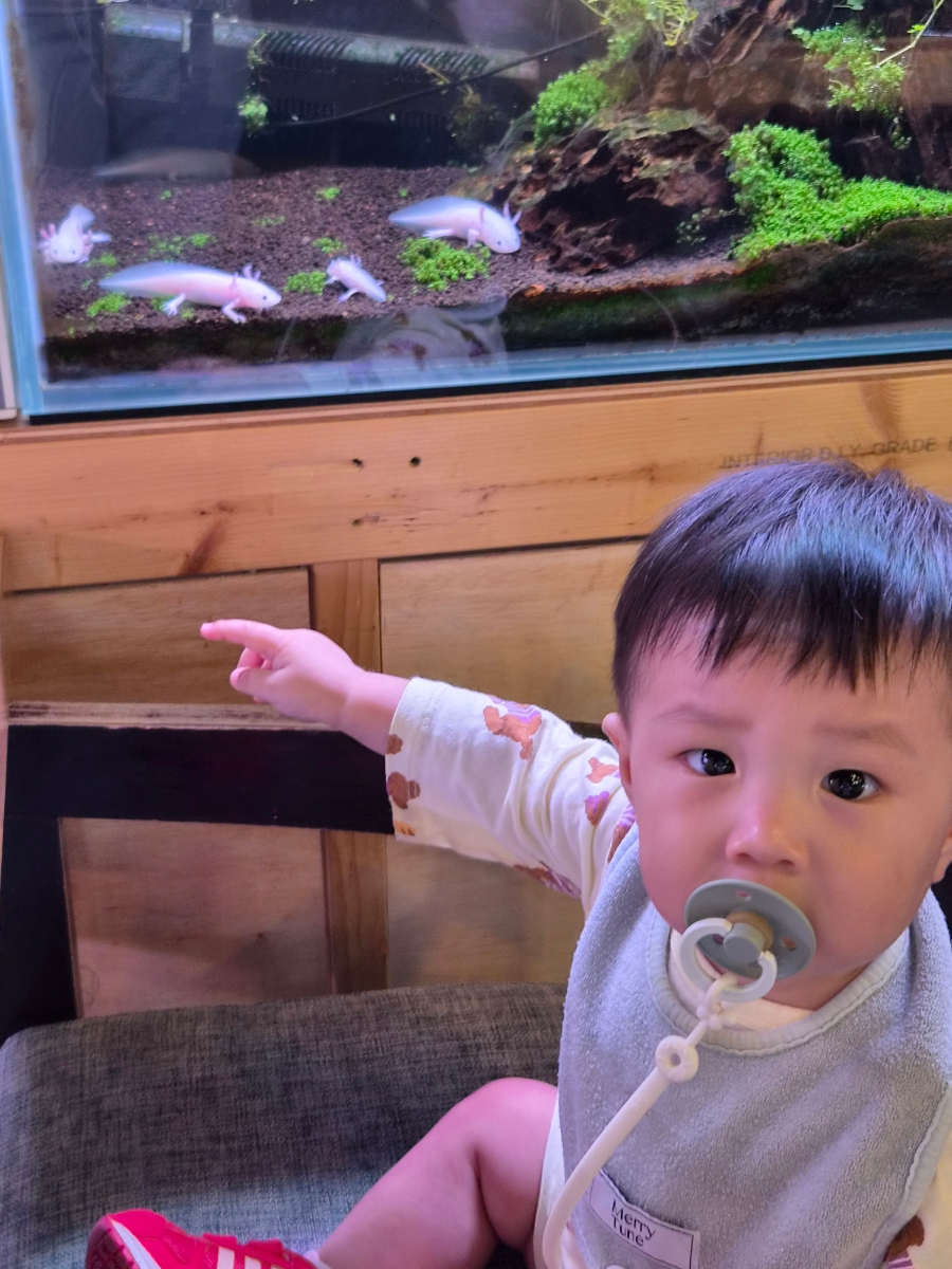 작은연못 사진 1