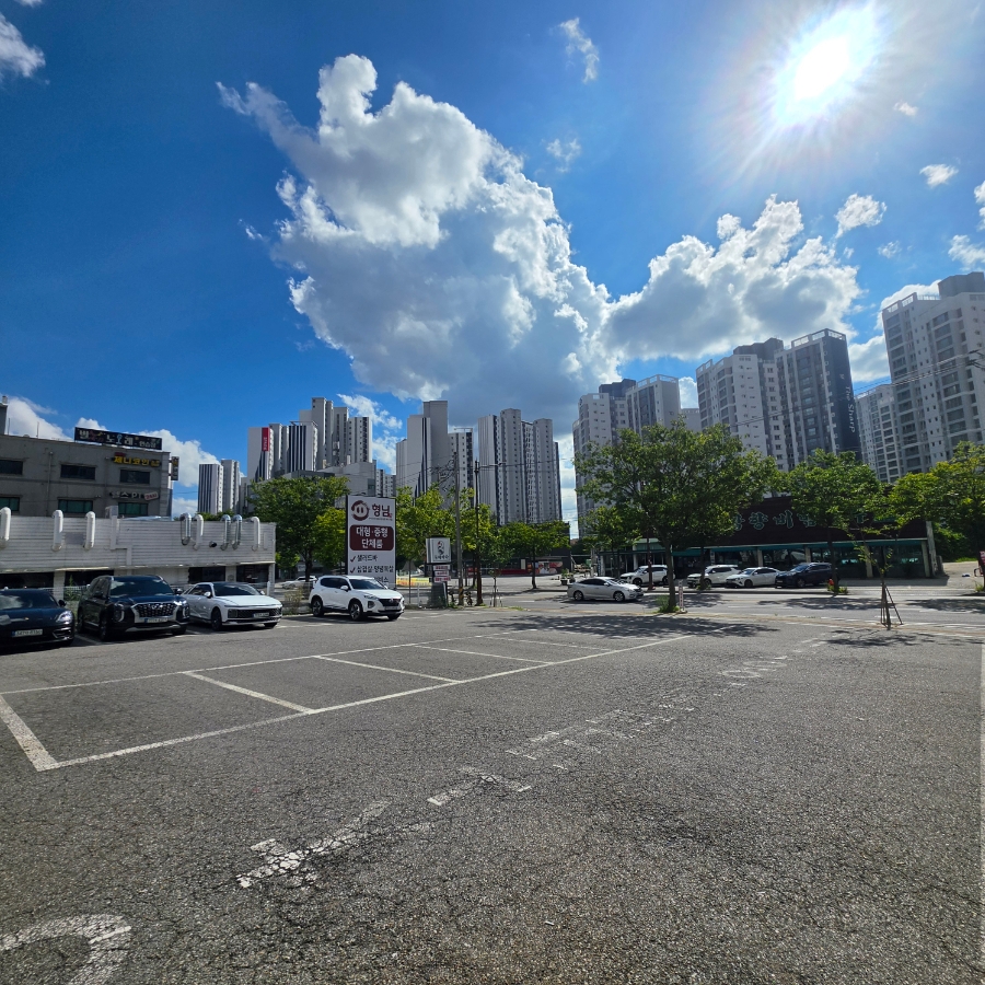 바다횟집 사진 4