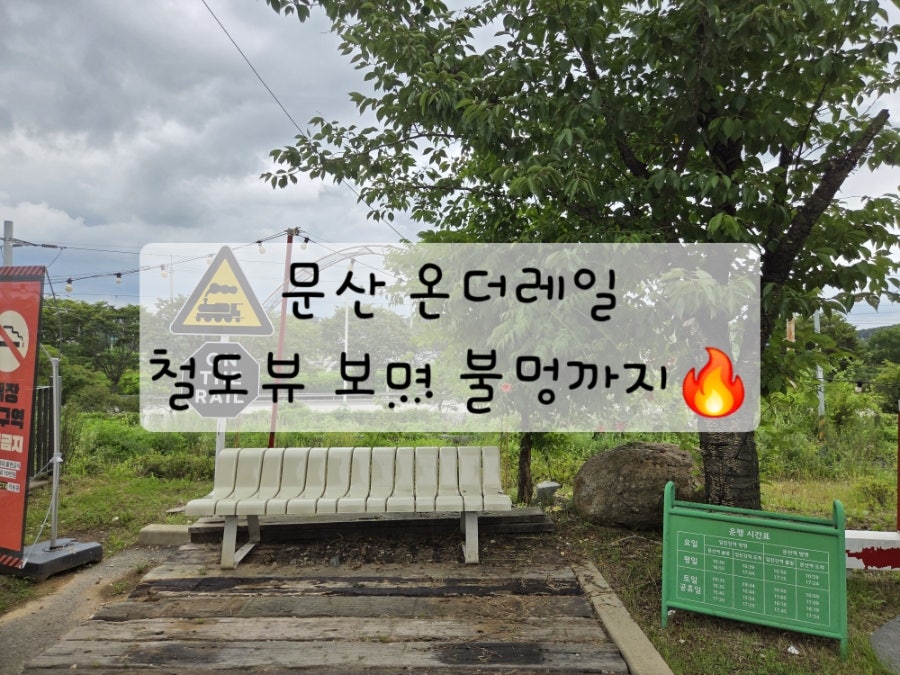 모아냉면 사진 1