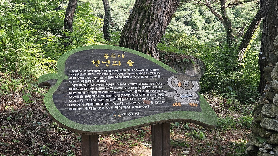 봉수산 사진 6
